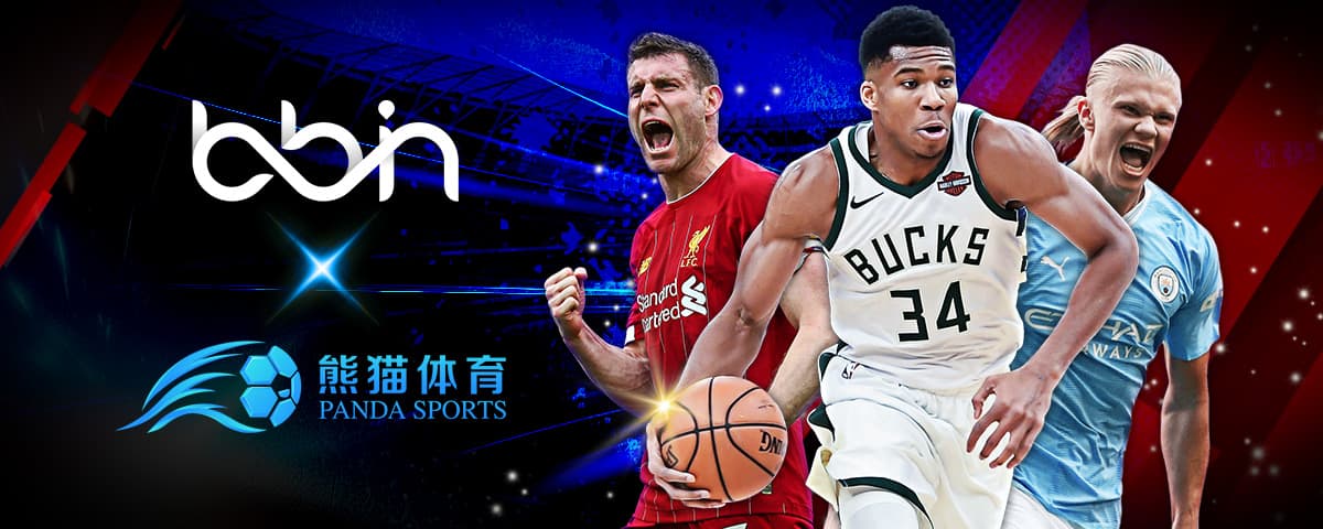 是众多羽毛
